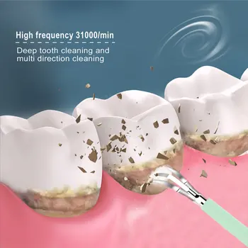 IPX6 Impermeabil Periuta de dinti Electrica Curat Dintii Tartru Dentar Remover Set cu piese de Schimb Înlocuite Cap de Perie Oglindă Dentară