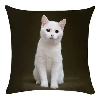 Animale Drăguț Pisica Perne Decorative Caz Super-Moale de Imprimare Capac Pernă Camera de zi de Decorare Accesorii Decor Acasă pentru Scaun