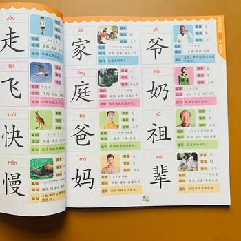Chineză noțiuni de Bază de Caractere Han zi competențelor de Lectură Cărți pentru Copii copii Adulti Incepatori Preșcolar Manual de Educație Timpurie