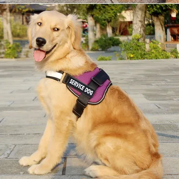 Nailon reglabil Ham Reflectorizant Guler de Câine Personalizate Hamul si Lesa Set Small Medium Large Dog Harness Vesta