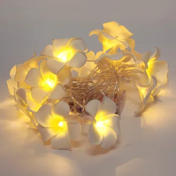 MIFLAME Romantic Lumini LED String 2021 Lumini Propunere Mărturisire Sala de Nunta Decor Lumini Frangipani Felinare Decorative