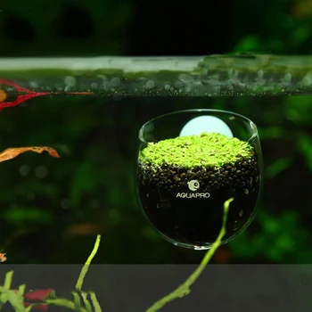 Mini Red Creveti Acvariu Rezervor de pește acvatic Cristal de Sticlă Oală de Plante Ceașcă Titularul