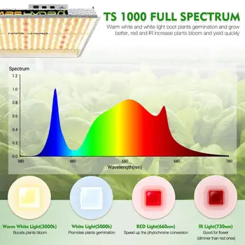 MarsHydro TS 1000W întregul spectru plante de interior led-uri cresc de lumină și 100x100x180cm Crească cort Gradina hidroponice de plante în creștere ușoară