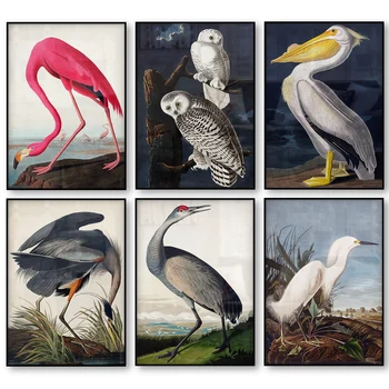 Vintage Bird Panza De Imprimare Audubon Pasăre Postere Flamingo Roz Snowy Owl Pelican Blue Heron Egreta Albă Panza Pictura Arta De Perete