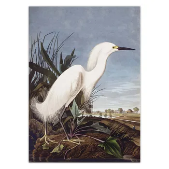 Vintage Bird Panza De Imprimare Audubon Pasăre Postere Flamingo Roz Snowy Owl Pelican Blue Heron Egreta Albă Panza Pictura Arta De Perete