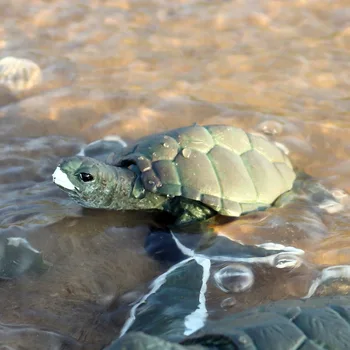 Simulare de Animale Ocean, Sea Turtle Model de Serie Cifrele de Acțiune de Colectare în Miniatură Cunoaștere Jucării Educative pentru copii de Cadou
