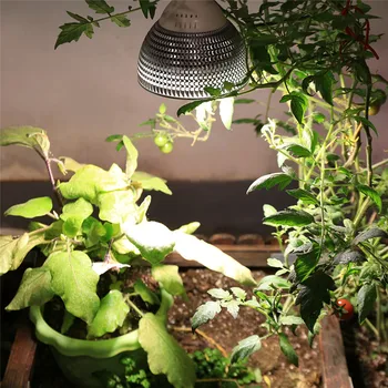 150W Spectru Complet de Plante LED-uri Cresc de Lumină Becuri E27 Lampă de Iluminat pentru Semințe Hidro Flori cu efect de Seră Legume Gradina Interioara Fito Growbox