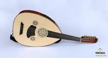 Profesionale arabă Arabă Electric Oud Ud Instrument cu Coarde Oude EA5 51169