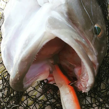 Hunthouse Negru Pește Pescuit Nada Savage Gear Dispozitiv de Capul Moale Shad Lure 25g 40g 60g 90g 120g Bass, Stiuca Ușor Vânătaie Momeala