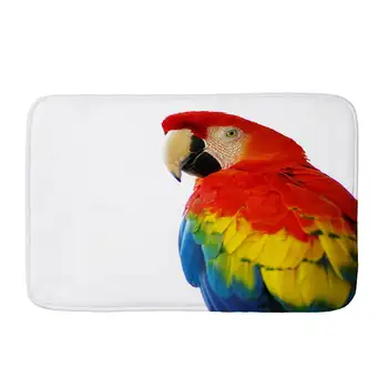 Papagal colorat Pasăre tipărite Flanel Covoraș Anti-Alunecare Tapete Covorase Bucătărie Preș covorase pentru ușa din față